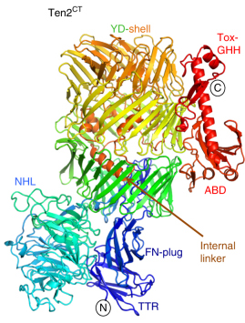 41467_2018_3460_Fig1_HTML-1