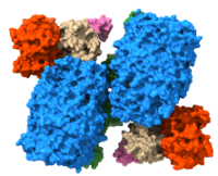 Screenshot 2024-05-08 at 14.38.10