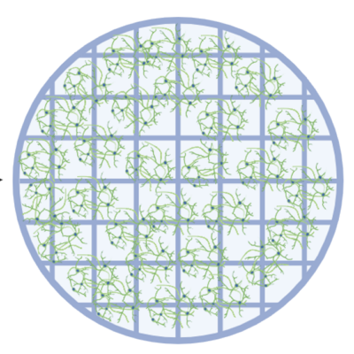 Screenshot 2026-01-06 at 10.10.01