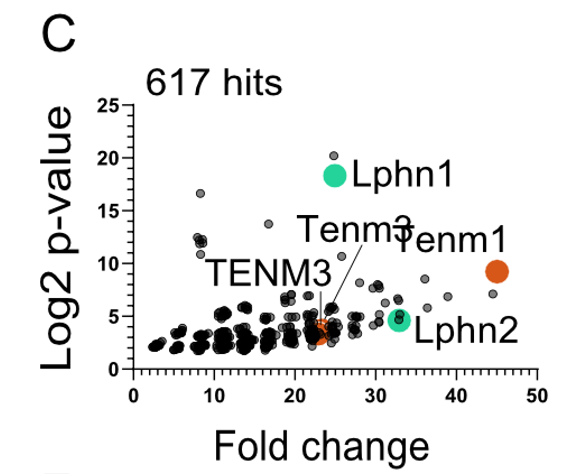 Henocq et al.2026a