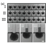 Screenshot 2026-03-10 at 10.04.58