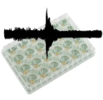 Screenshot 2026-03-10 at 10.11.00